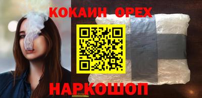 СК Гатчина