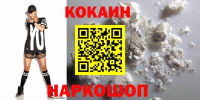 СК Гатчина