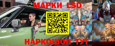 СК Гатчина