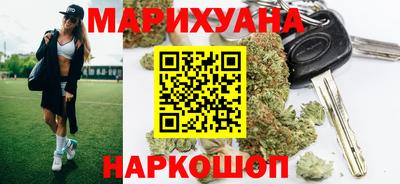 СК Гатчина