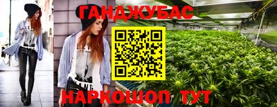 СК Гатчина