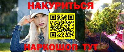 СК Гатчина