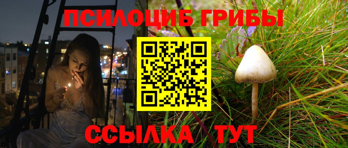 Галлюциногенные грибы Magic Shrooms Нальчик