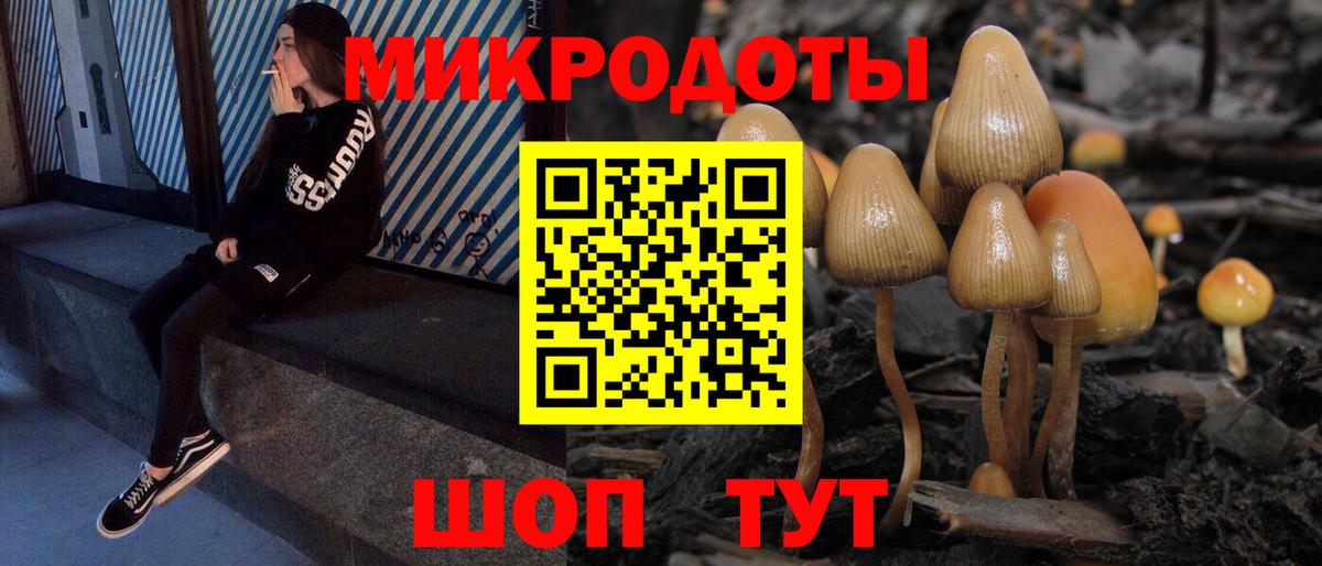Псилоцибиновые грибы мухоморы  цены наркотик  Нальчик  Галлюциногенные грибы Psilocybine cubensis  Вход с VPN 